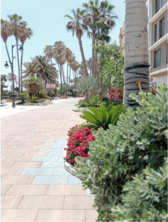 Beach Side Apartment -Estepona Exterior photo